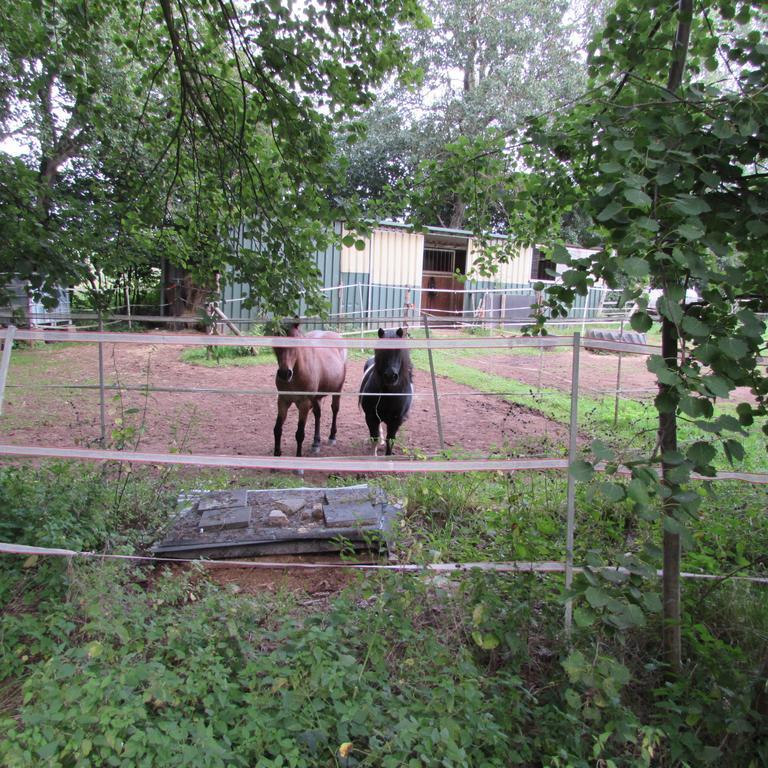 Ferienwohnung "Eifelstueffje" Mechernich Rum bild