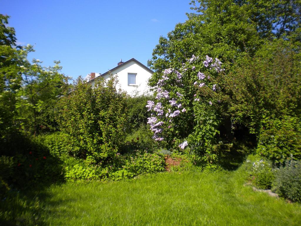 Ferienwohnung "Eifelstueffje" Mechernich Exteriör bild